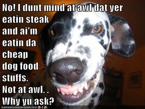 Angry-Dog-Meme-No-I-dunt-min-at-awl-dat-yer-eatin-steak-and-aim-eatin-da-sheap-dog-food-stuffs...jpg