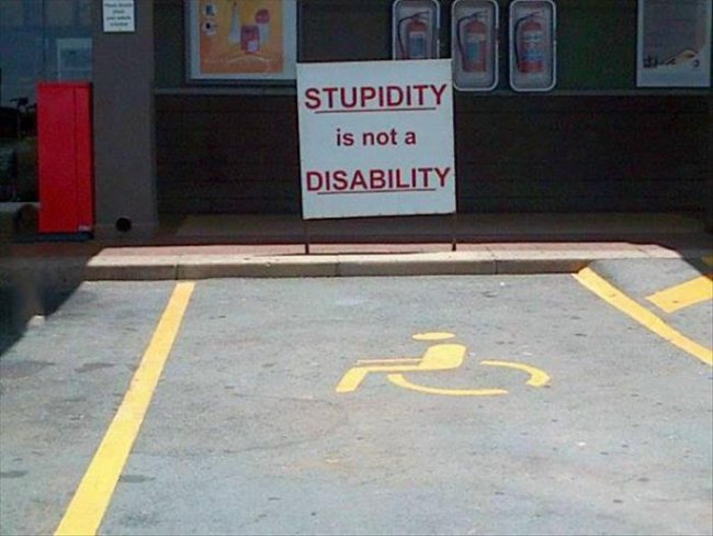 stupidity.jpg