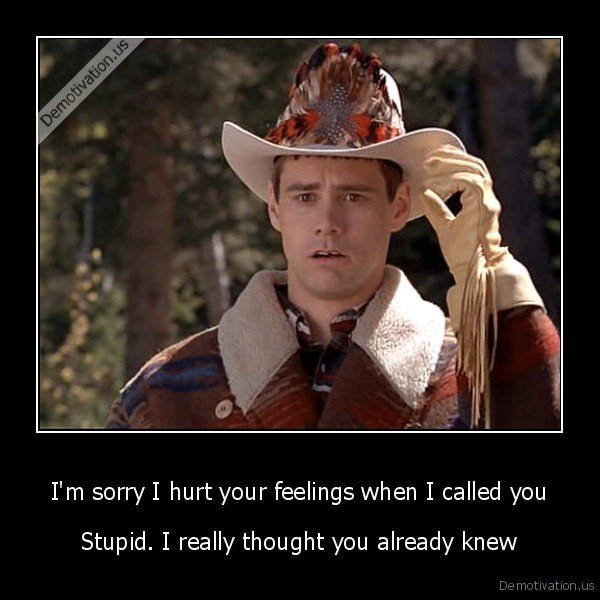 demotivation.us_Im-sorry-I-hurt-your-feelings-when-I-called-you-Stupid.-I-really-thought-you-alr.jpg
