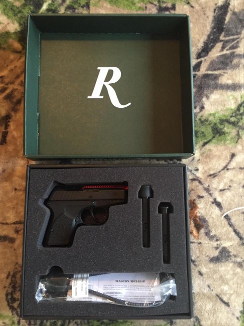 Remington RM380 6.jpg