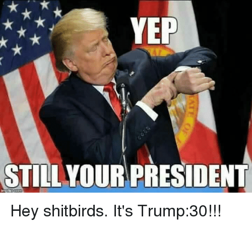yep-still-your-president-hey-shitbirds-its-trump-30-22465227.png