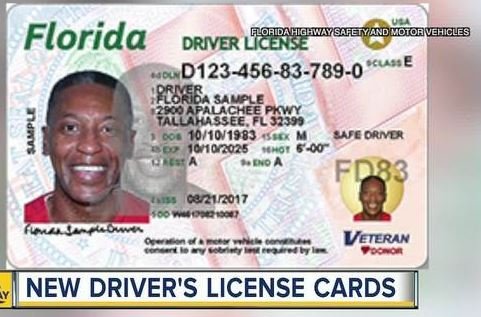 New Florida Drivers License.JPG