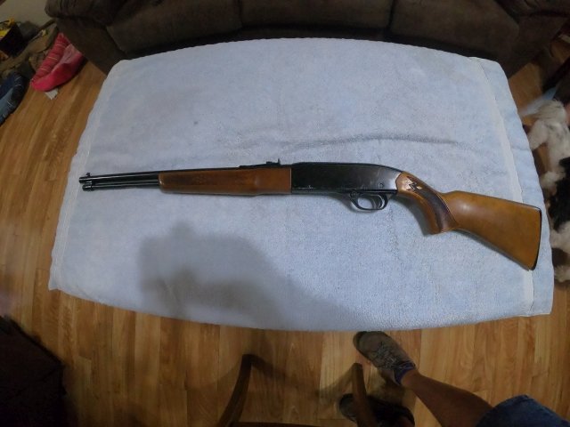 Winchester 22LR Model 190.JPG