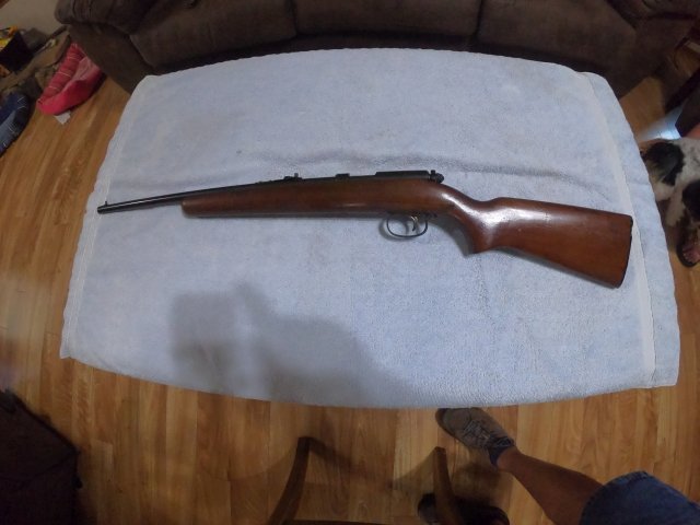 Remington 22 Model 514.JPG
