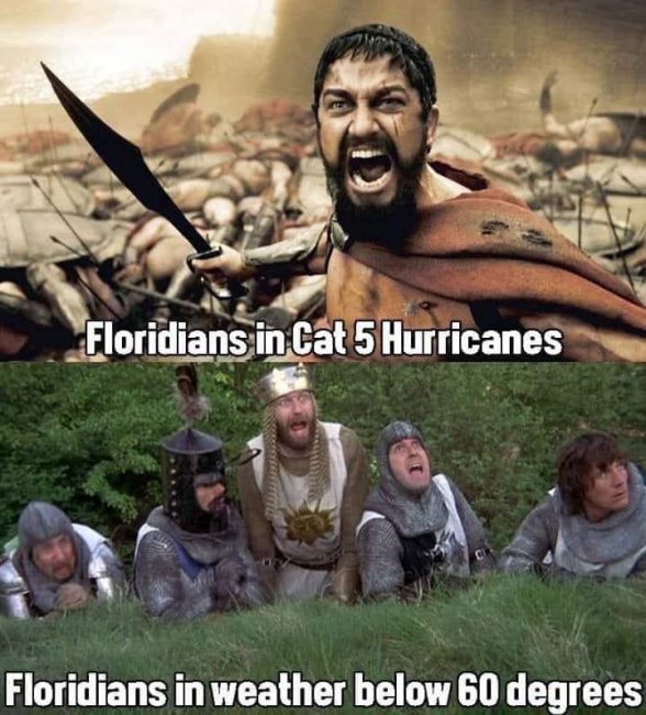 Florida Cat 5.jpg