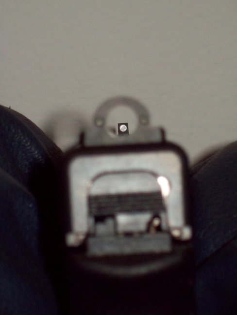 Glock 21 Sights (4).jpg