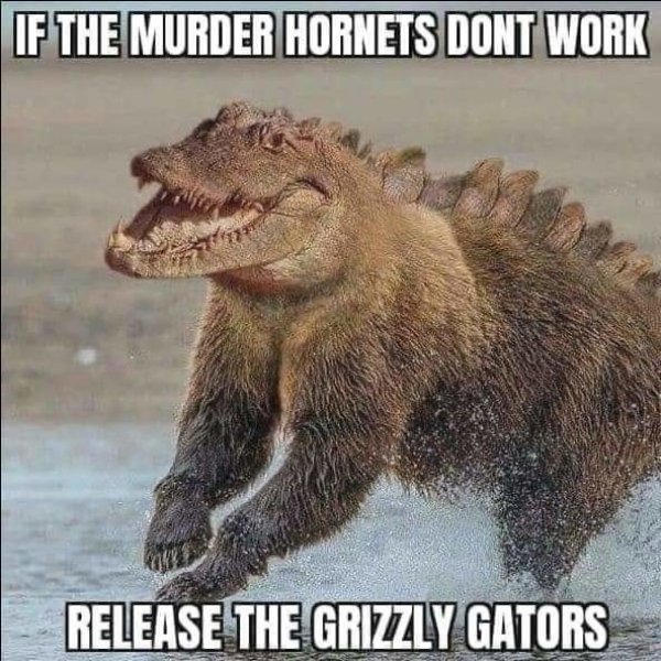 grizzly gators.jpg