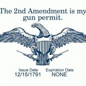 2A gun permit