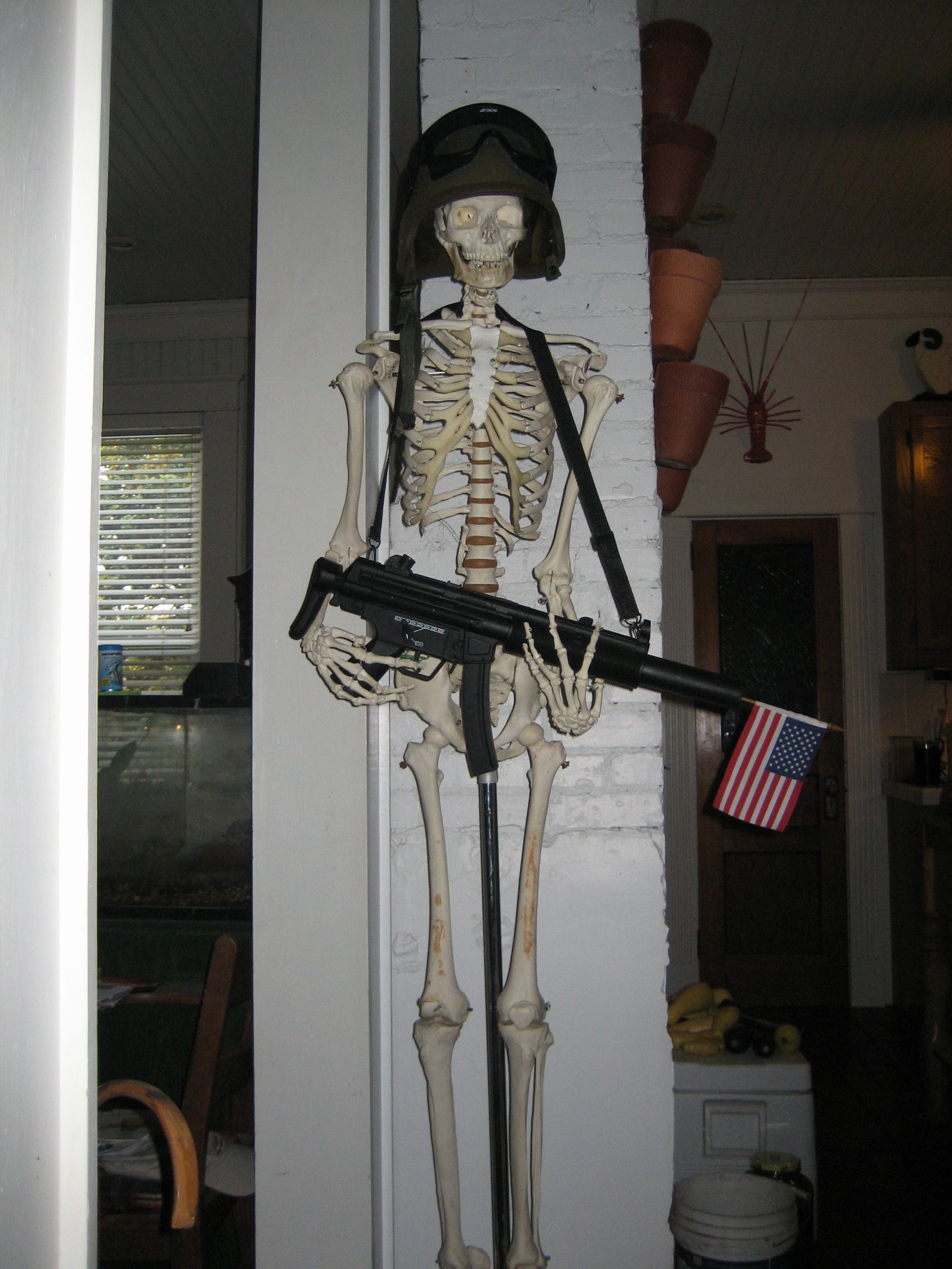 IMG_0729.jpg Mr. Bones protecting my house